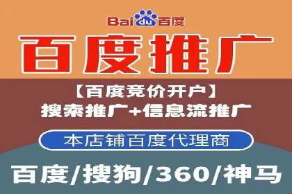 竞价广告投放技巧与案例分析